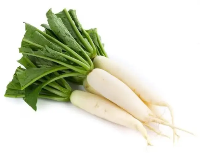 Radish मूली