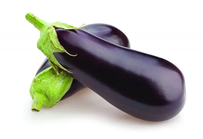 Brinjal (Eggplant) बैंगन बड़ा