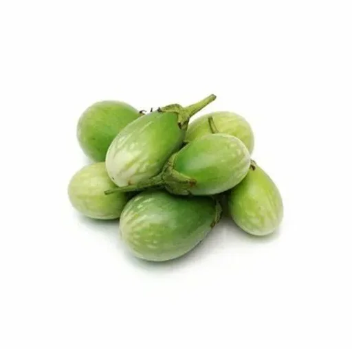 Brinjal Green बैंगन हरा रवैया