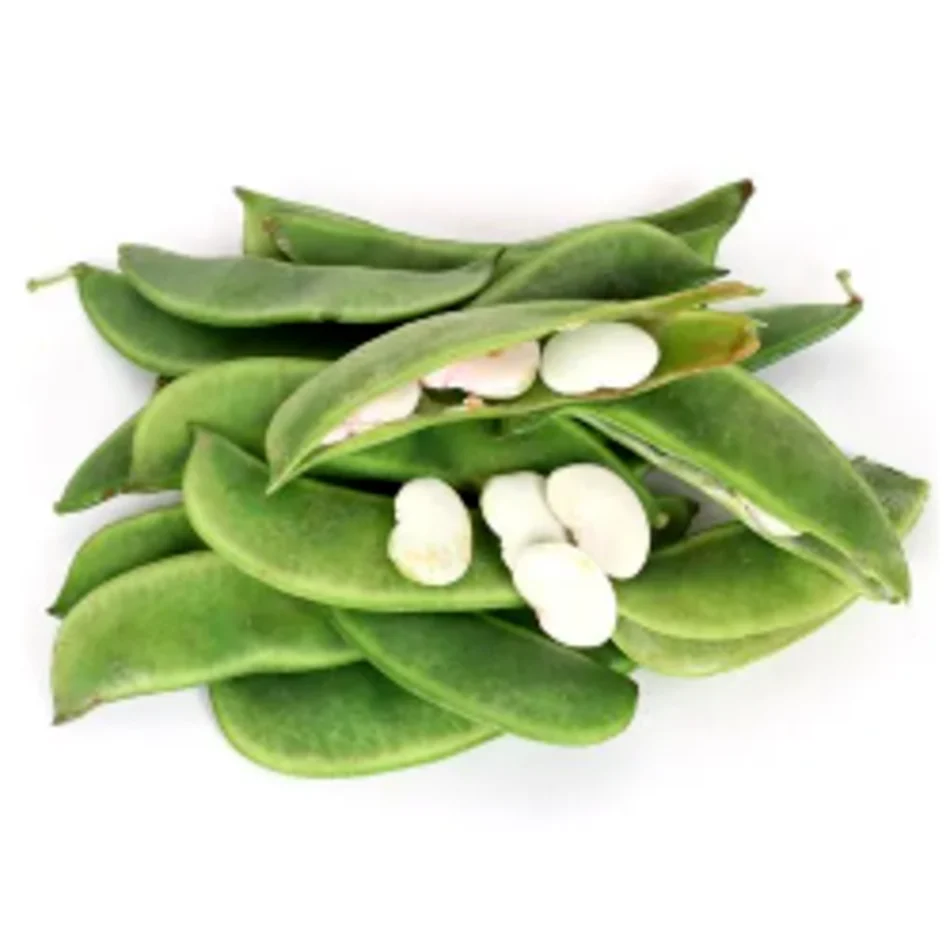 Broad Beans वालोर पापड़ी