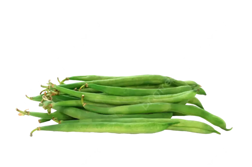 Indian Long Beans लम्बी फली