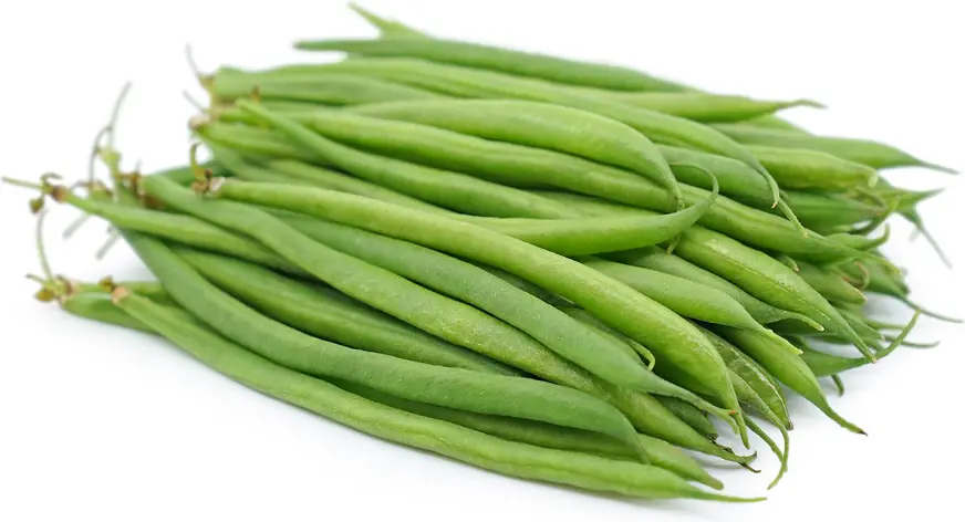 French Beans फ़नसी