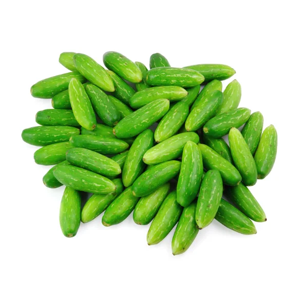 Little Guard टिंडोरा/गिलोरा