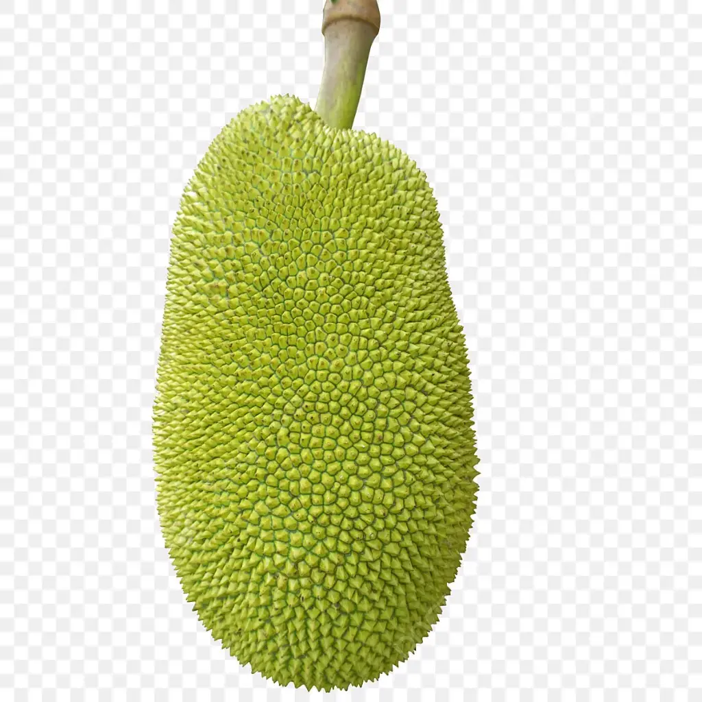 Jackfruit कठल