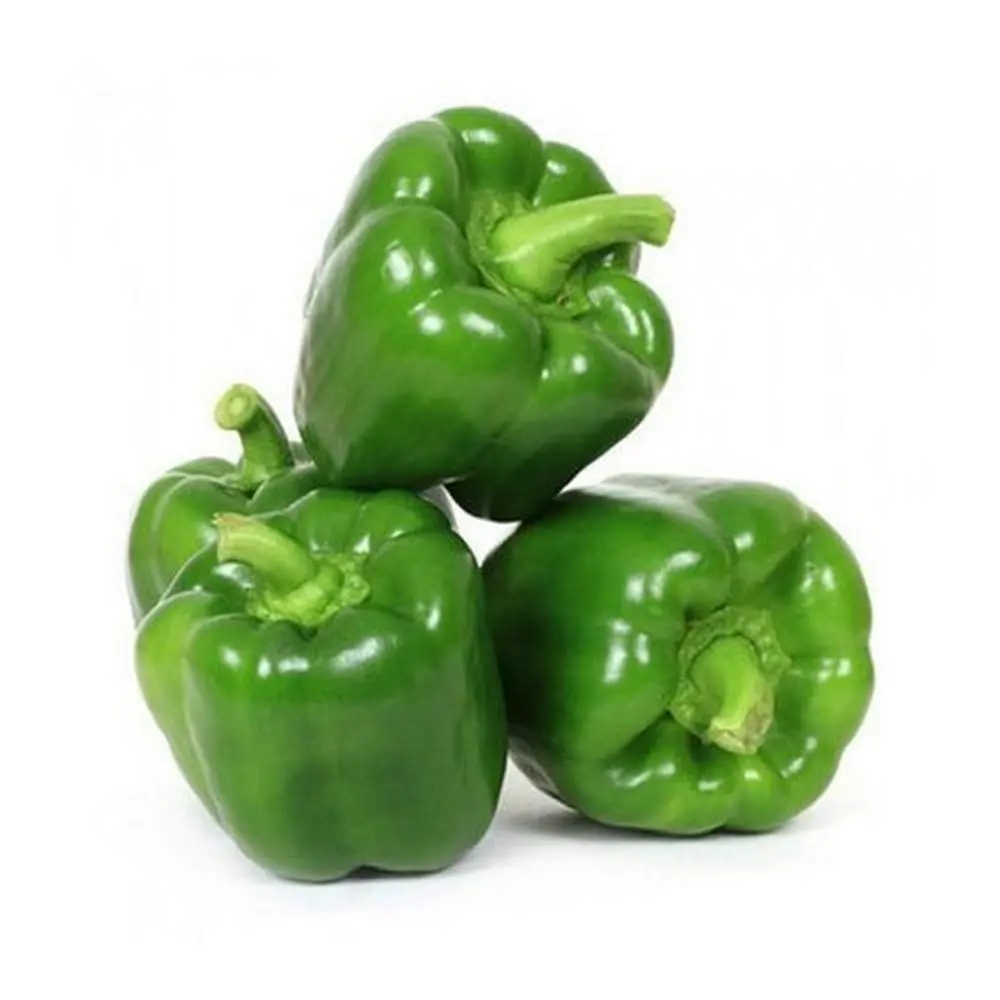 Capsicum शिमला मिर्ची