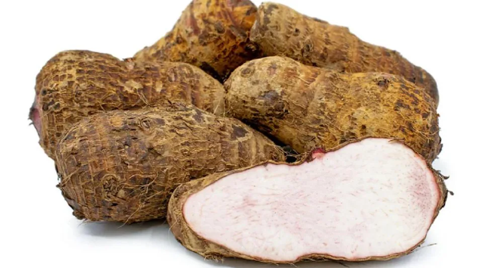 Colocasia Root अरबी रूट