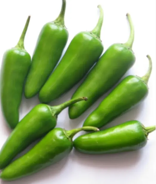 Vadhvani Chilly वढवानी मिर्ची