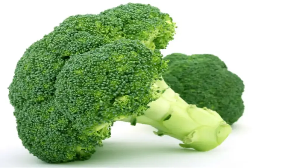Broccoli ब्रोकोली