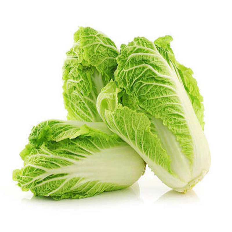Chinese Cabbage चीनी पत्तागोभी