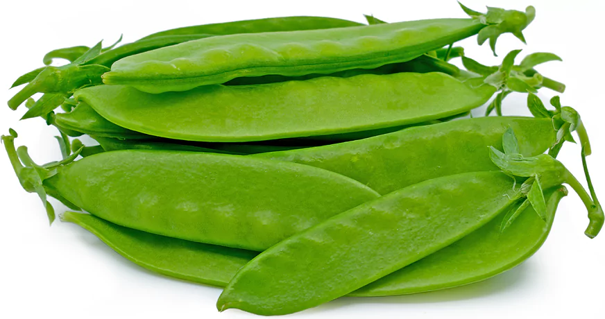 Snow Peas स्नो पी