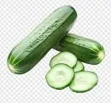[FNVVEG_0023] Cucumber काकड़ी
