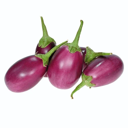 [FNVVEG_0009] Brinjal  बैंगन भरूचि