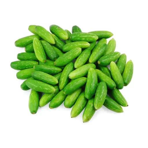 [FNVVEG_0046] Little Guard टिंडोरा/गिलोरा