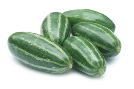 [FNVVEG_0051] Pointed Gourd परवल