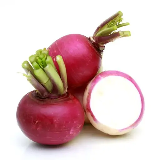 [FNVVEG_0072] Turnip शलजम