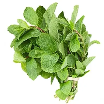 [FNVVEG_0047] Mint Leaves फ़ुदिना पत्ता