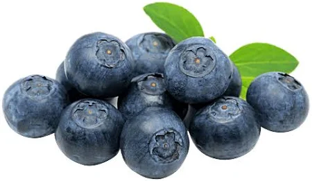 [FNVFRT_0008] Blueberry Fresh 125 g