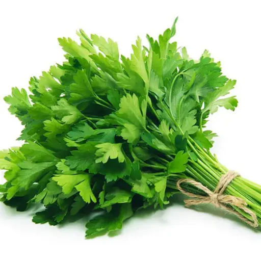 [FNVEXO_0014] Parsley पार्सले