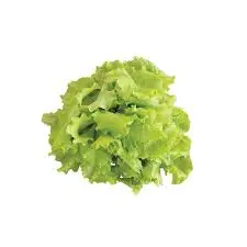 [FNVEXO_0018] Simpson सिम्पसन