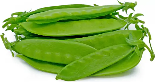 [FNVEXO_0019] Snow Peas स्नो पी